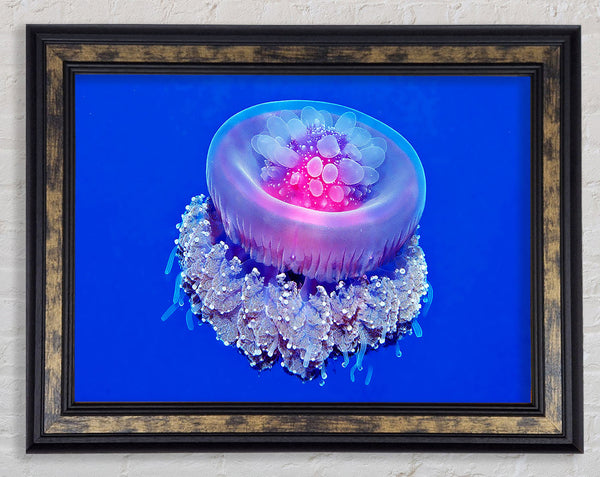 Neon Jellyfish