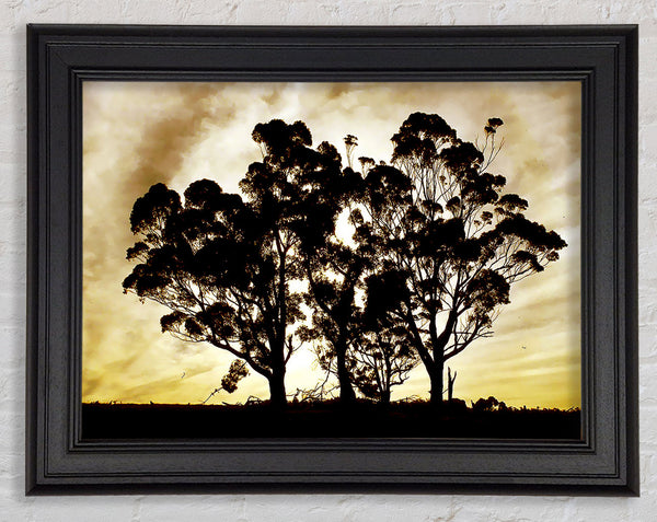Chocolate Trees Framed Print