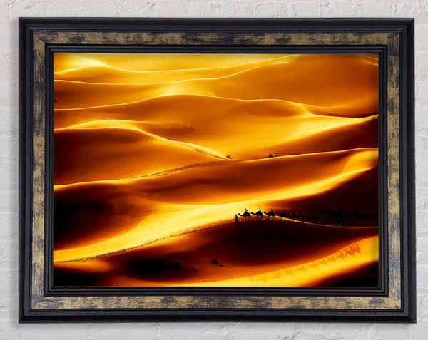 Camel Desert Framed Print