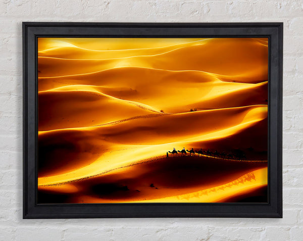 Camel Desert Framed Print