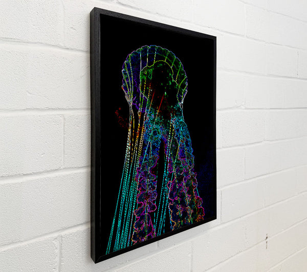 Jellyfish