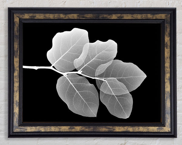 Winter Leaf Framed Print