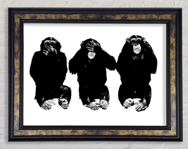 Speak No Evil See No Evil Hear No Evil Framed Print