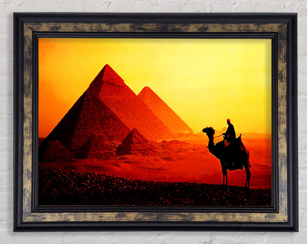 Camel Pyramid Ride Framed Print