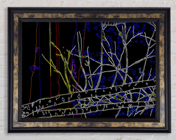 Tree Sketch 02 Framed Print