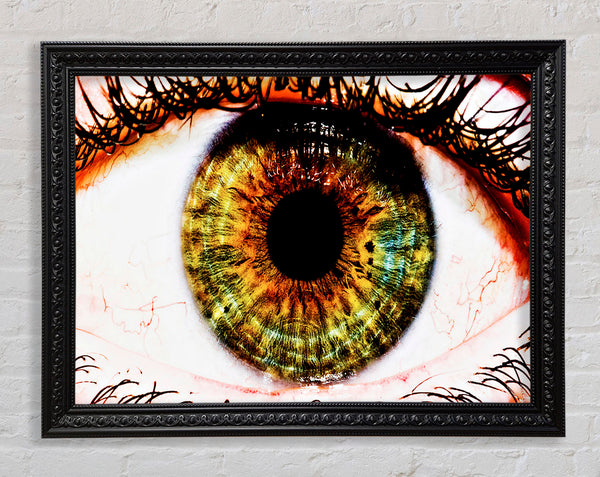 Großes Auge