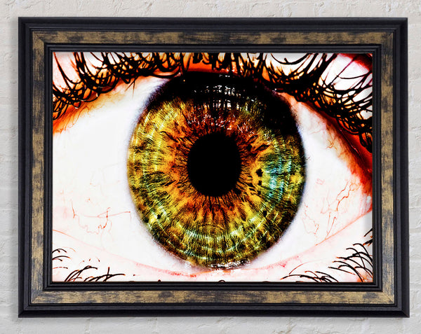 Big Eye Framed Print