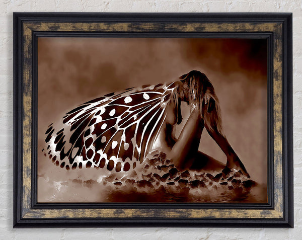 Chocolate Butterfly Landing Framed Print