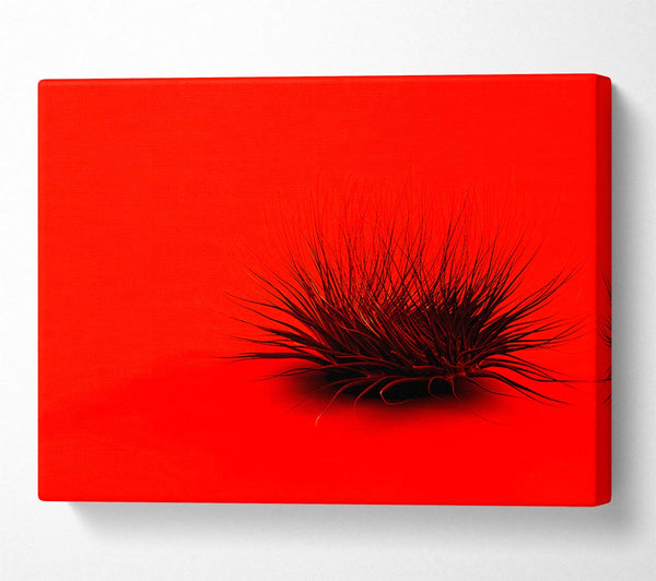 The Little Red Thing Canvas Art
