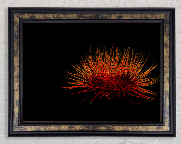 Red Thing Framed Print