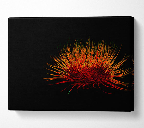 Red Thing Canvas Print