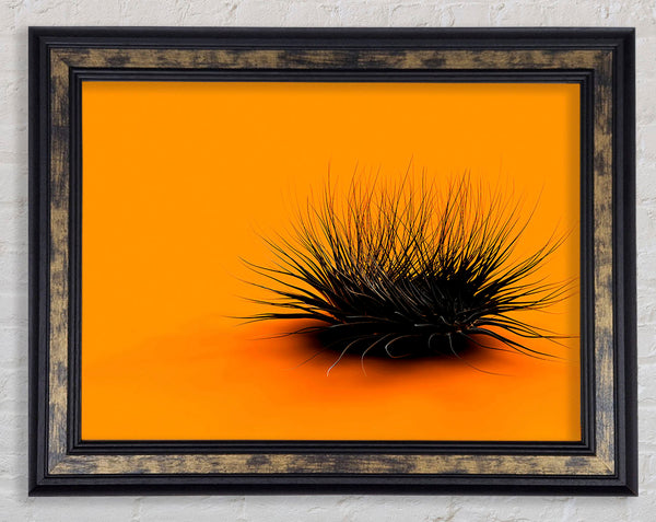The Orange Thing Framed Print