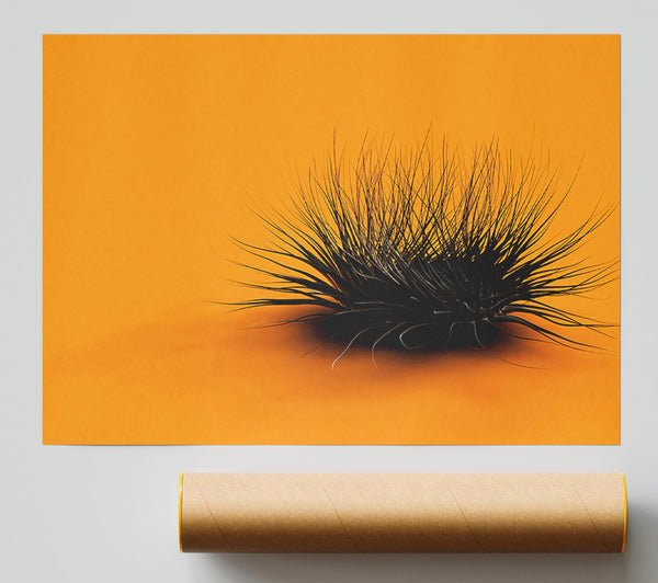 The Orange Thing Poster