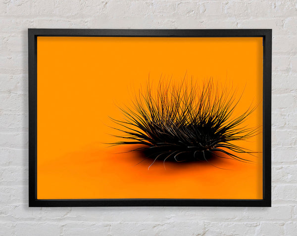 Das orange Ding