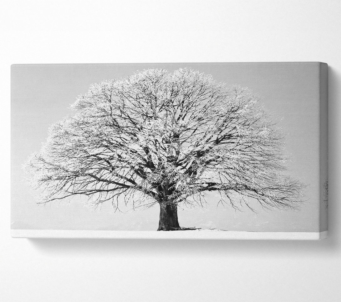  A Canvas Print of Winter Snow Tree B n W Canvas Art