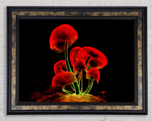 Red Magic Mushrooms Framed Print