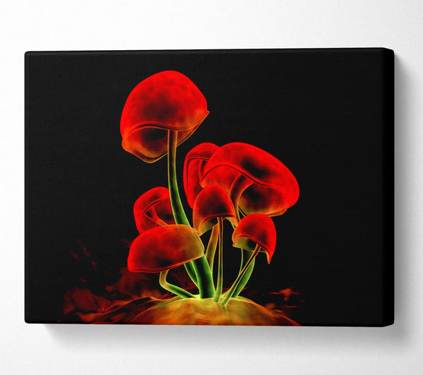 Red Magic Mushrooms Canvas Print
