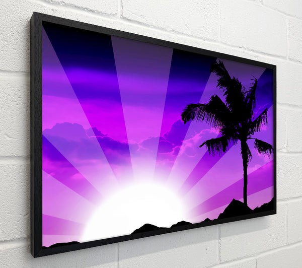 Purple Palmtree Sunrays
