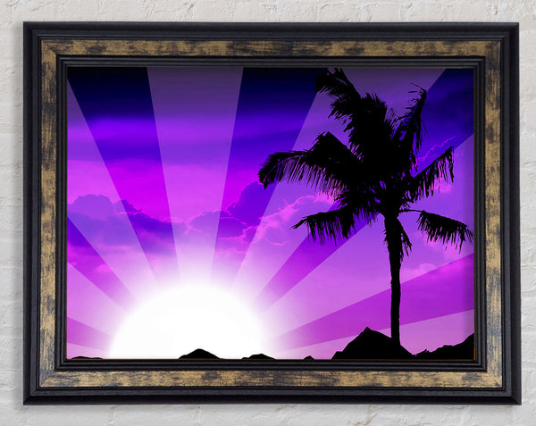 Purple Palmtree Sunrays Framed Print