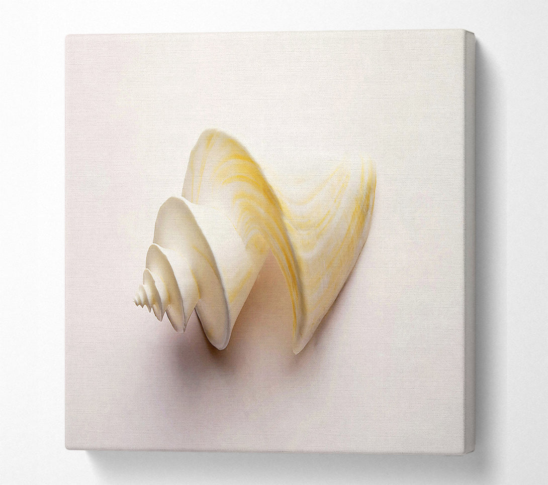  A Canvas Print of Stunning White Shell Canvas Print