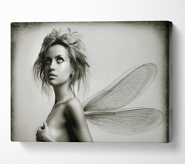  A Canvas Print of Exotic Fairy Wings Close-up Canvas Wall Art