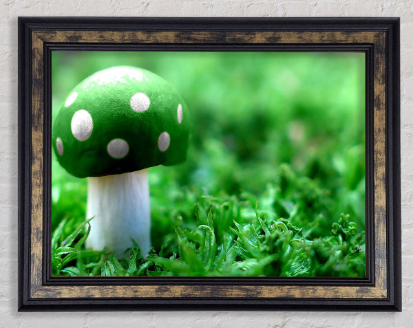 Green Mushroom Framed Print