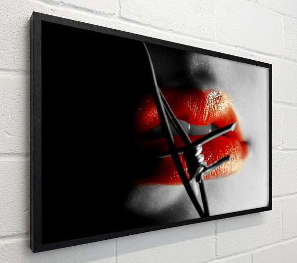 Barbed Wire Lips