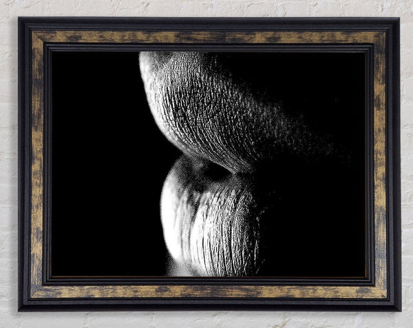 Sensual Lips B n W Framed Print