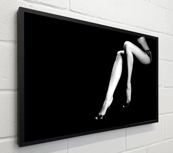 Legs