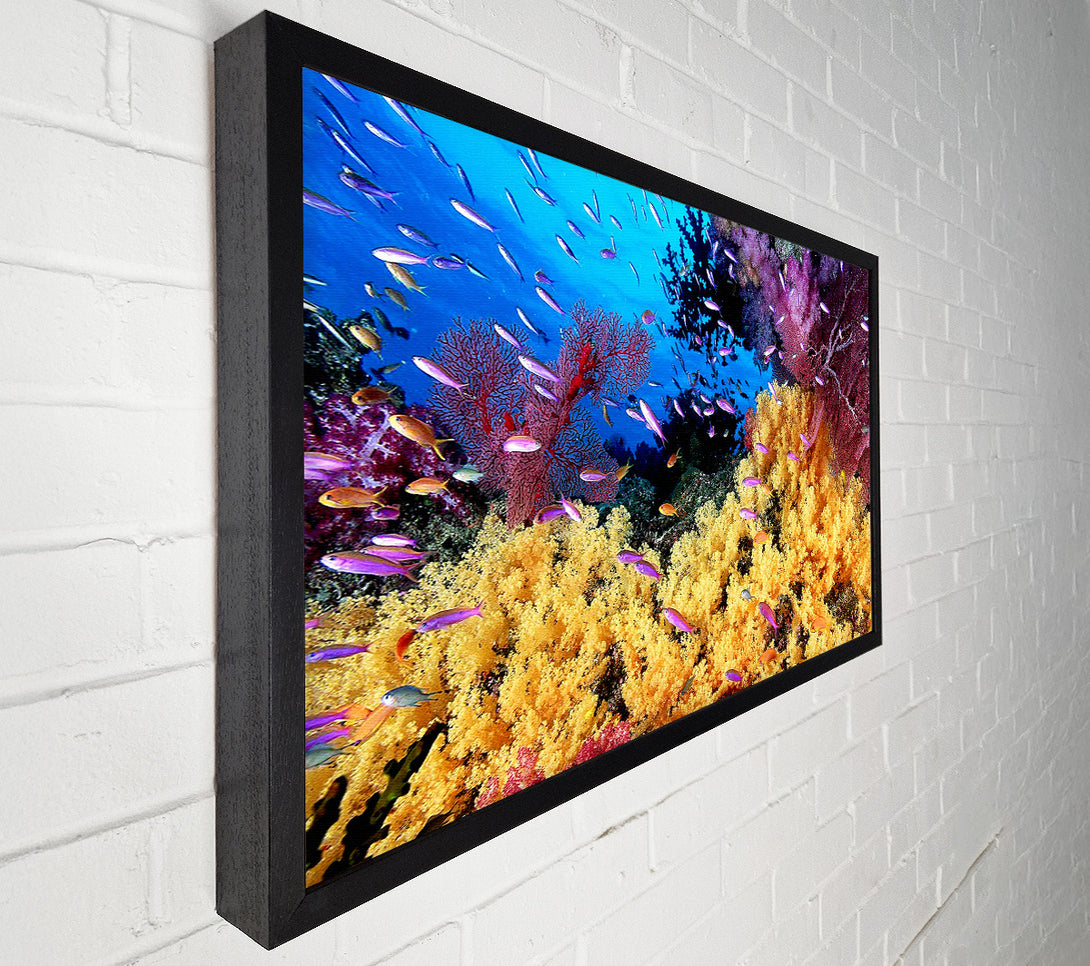  A Canvas Print of The Oceans Colour Canvas Art