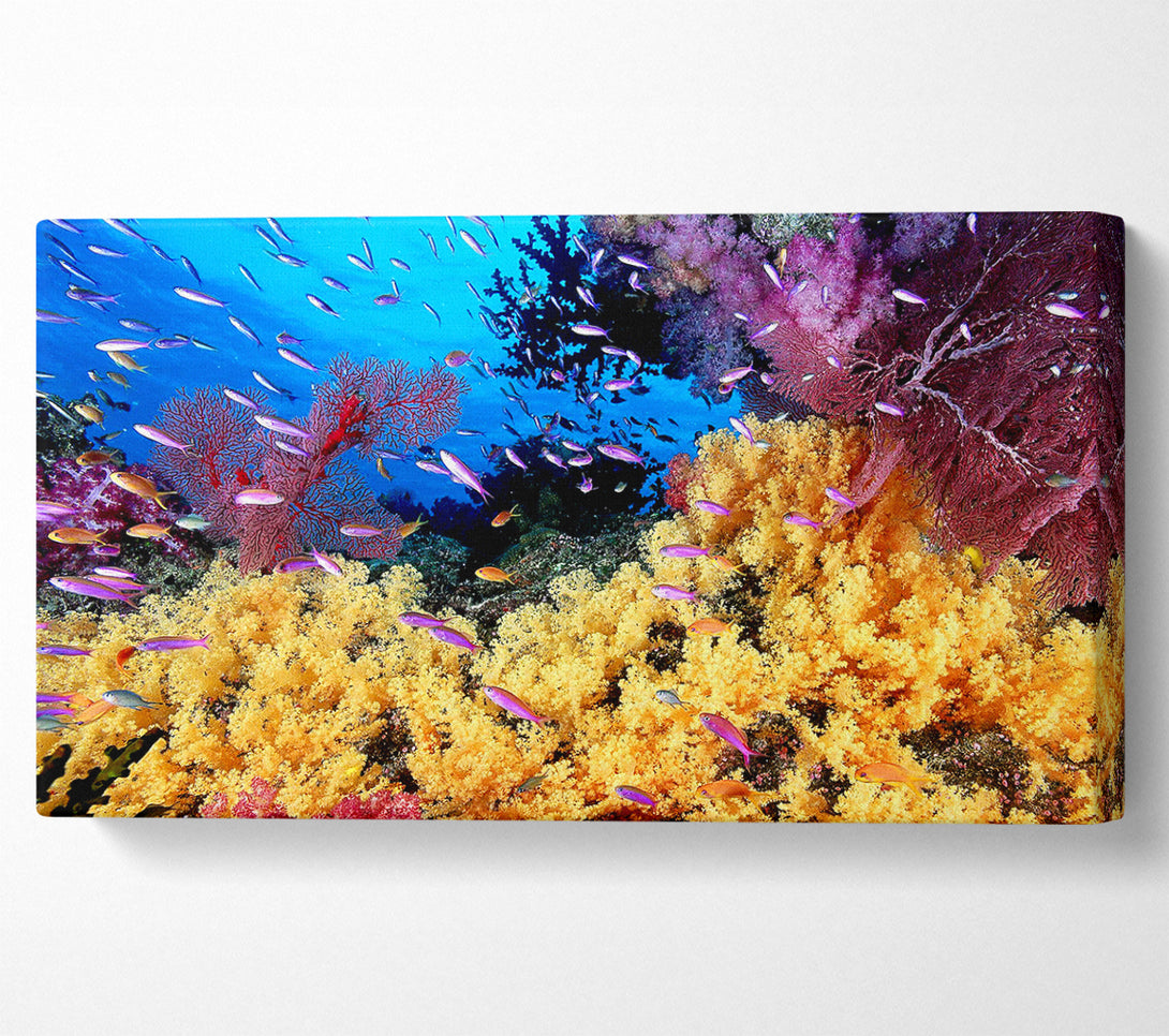  A Canvas Print of The Oceans Colour Canvas Art