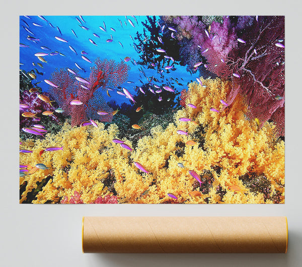 The Oceans Colour Print