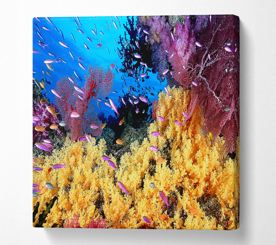  A Canvas Print of The Oceans Colour Canvas Art