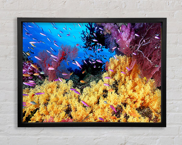 The Oceans Colour Framed Print