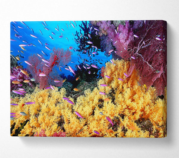  A Canvas Print of The Oceans Colour Canvas Art
