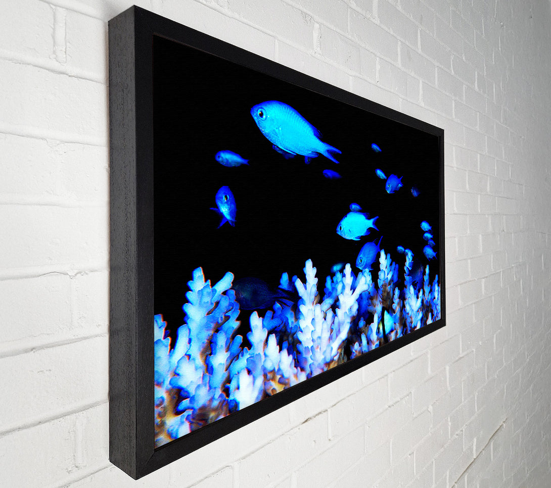  A Canvas Print of The Ocean World Canvas Print