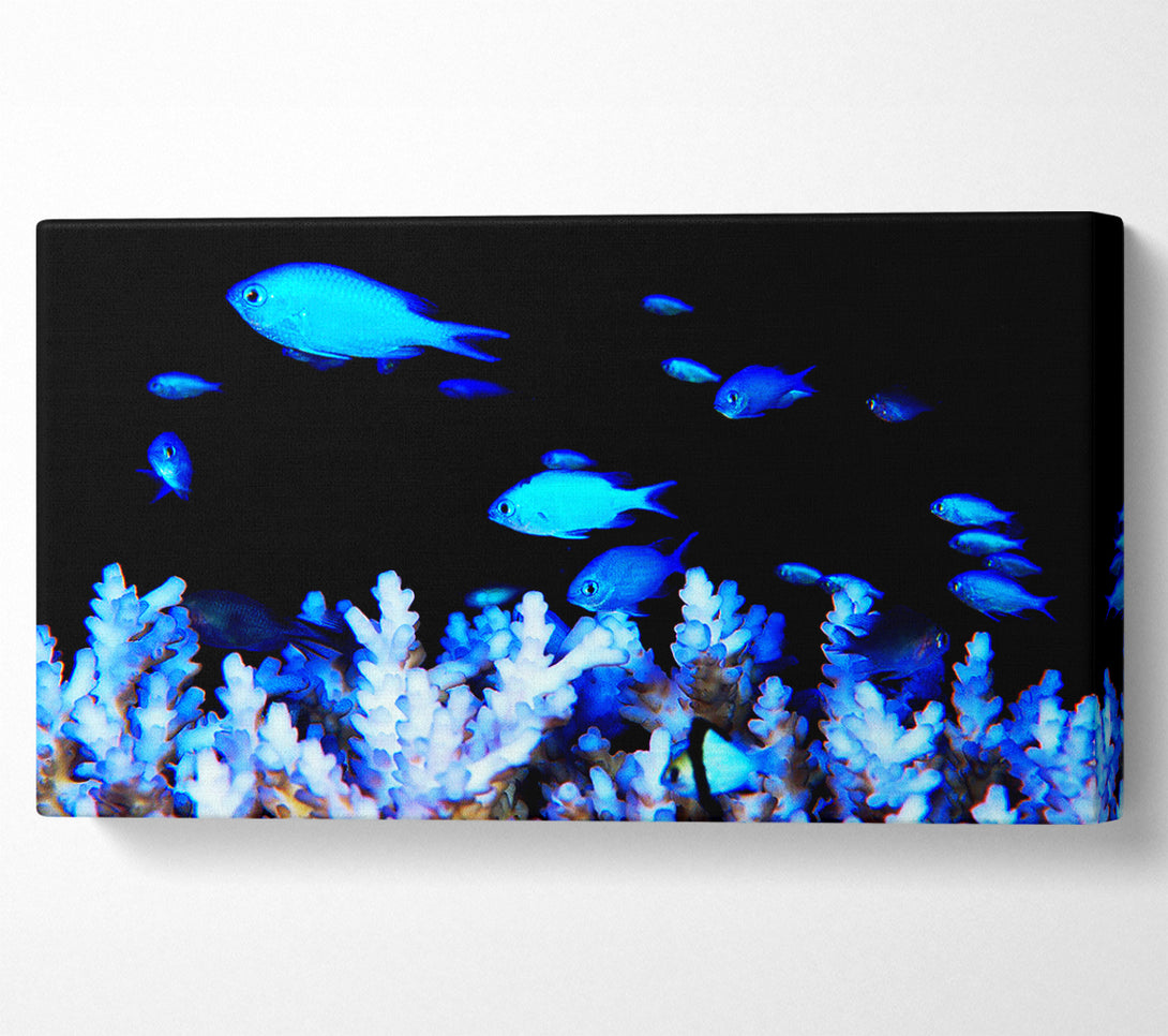 A Canvas Print of The Ocean World Canvas Print