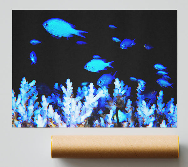 The Ocean World Giclee Print