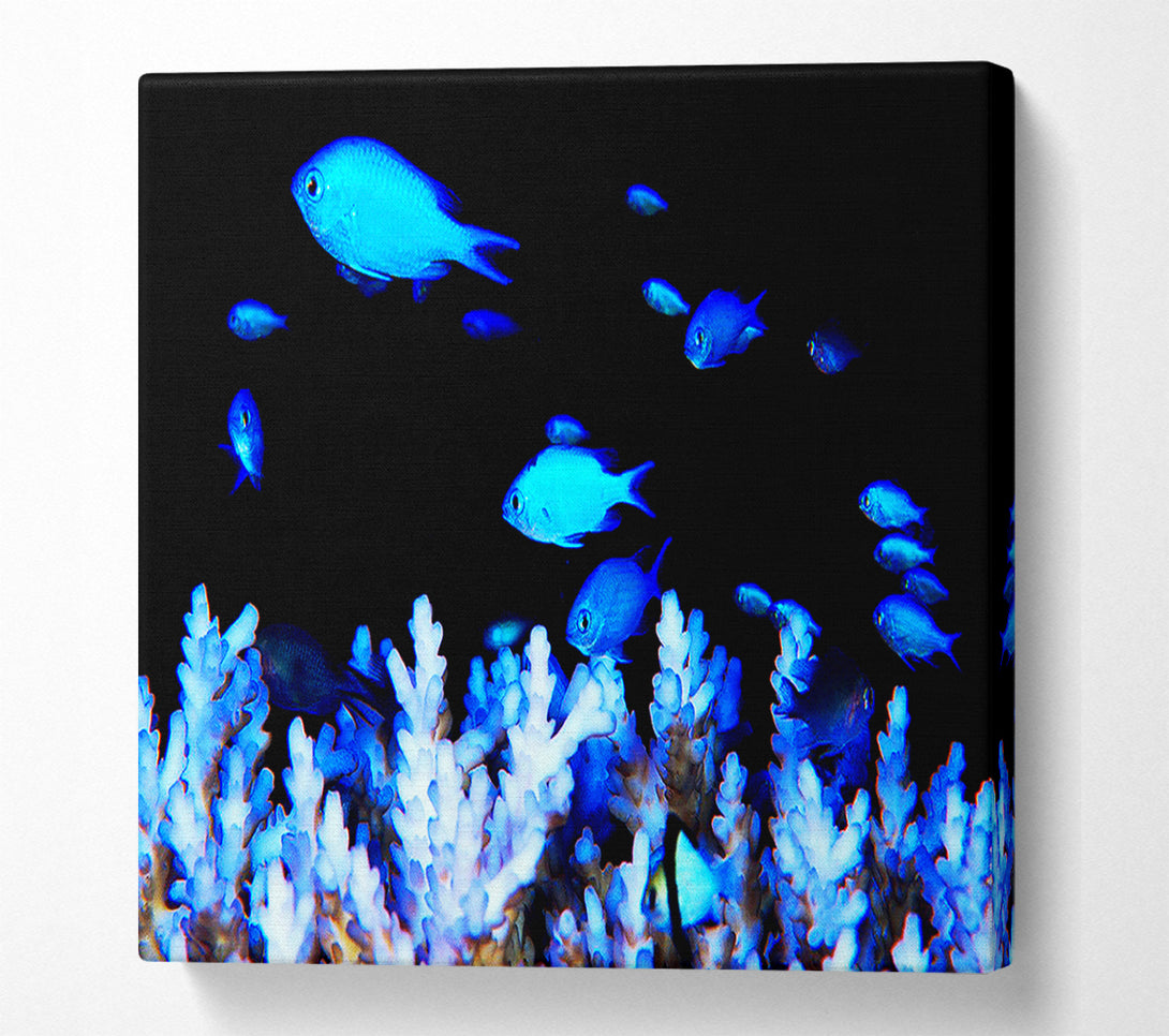  A Canvas Print of The Ocean World Canvas Print