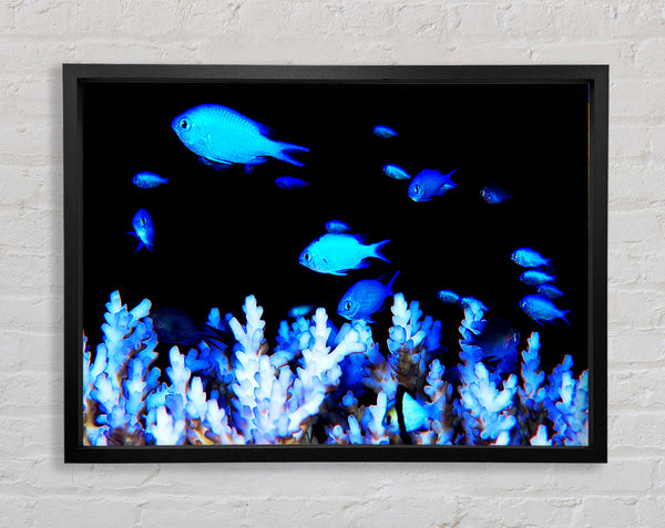 The Ocean World Framed Print