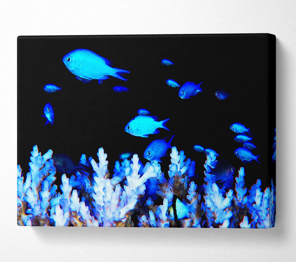  A Canvas Print of The Ocean World Canvas Print