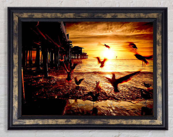 Sea And Fly Birds Framed Print