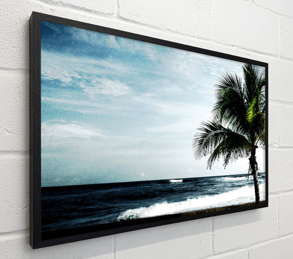 Palm Tree Ocean