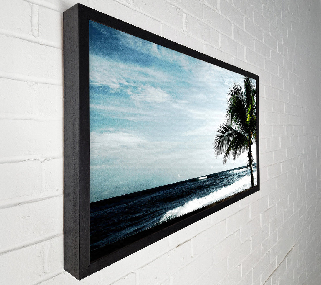  A Canvas Print of Palm Tree Ocean Canvas Print