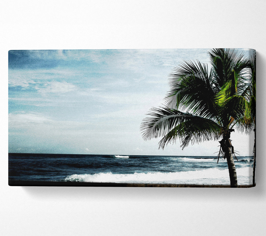  A Canvas Print of Palm Tree Ocean Canvas Print