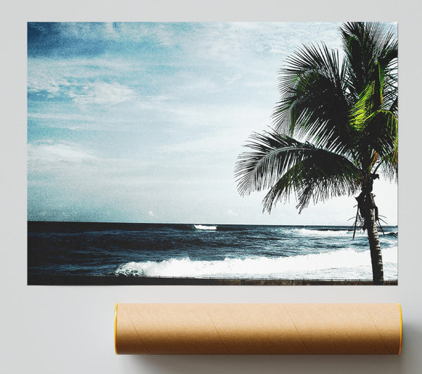Palm Tree Ocean Print