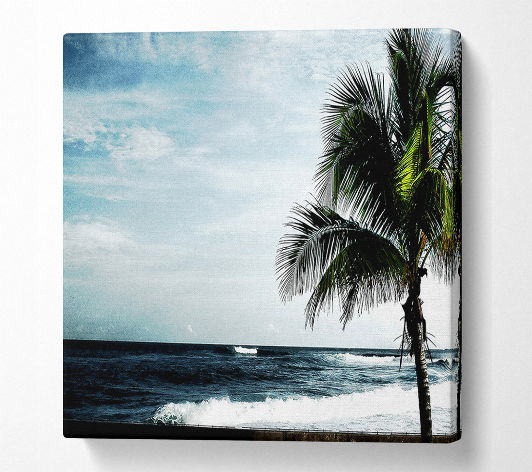  A Canvas Print of Palm Tree Ocean Canvas Print