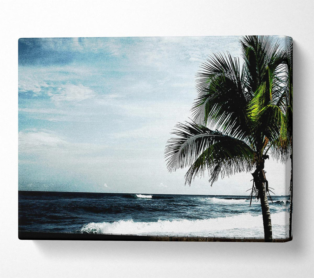  A Canvas Print of Palm Tree Ocean Canvas Print