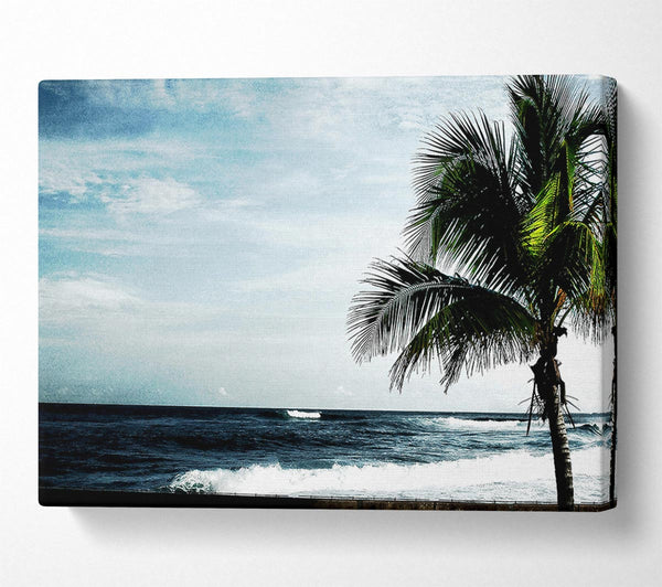  A Canvas Print of Palm Tree Ocean Canvas Print
