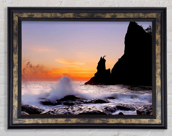 Ocean Spray Delight Framed Print